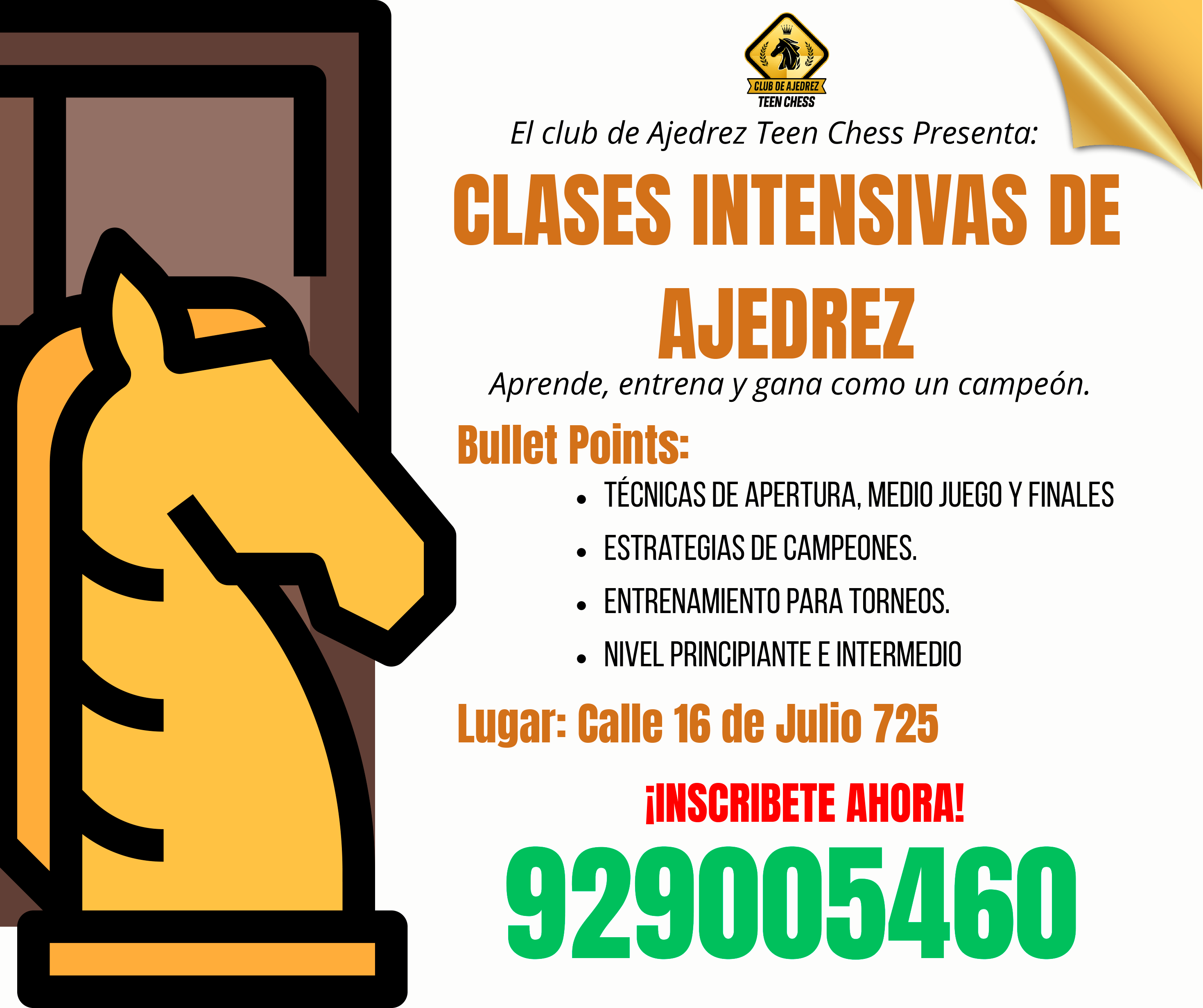 Clases intensivas
